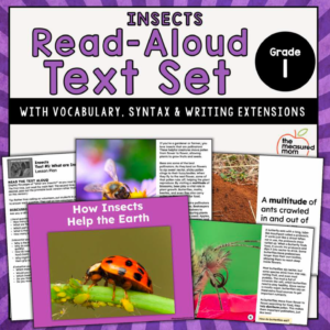 Insects: Read-Aloud Text Set for First Grade